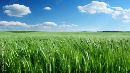 Novokuznetsk Kemerovo Region Russiajuly 27 , Background HD, Illustrations