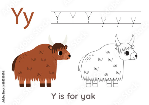 Tracing alphabet letters with cute animals. Color cute yak. Trace letter Y.