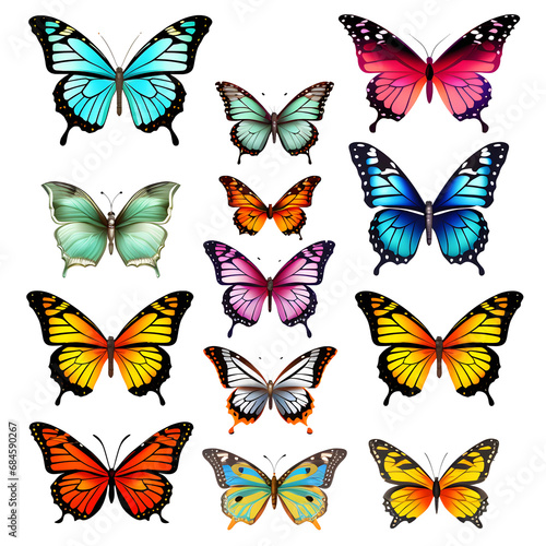 Big collection of colorful butterflies. Vector © Prasanth