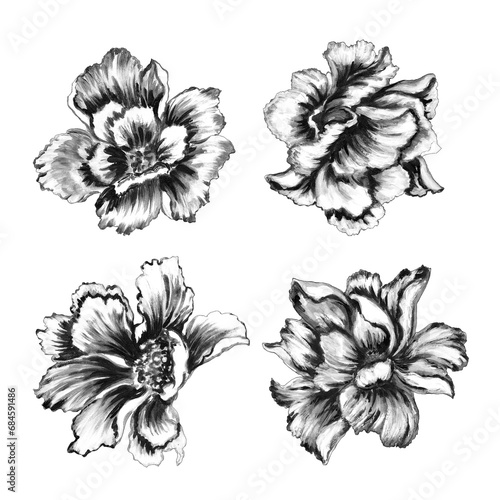 hand painted, watercolor black and white flowers