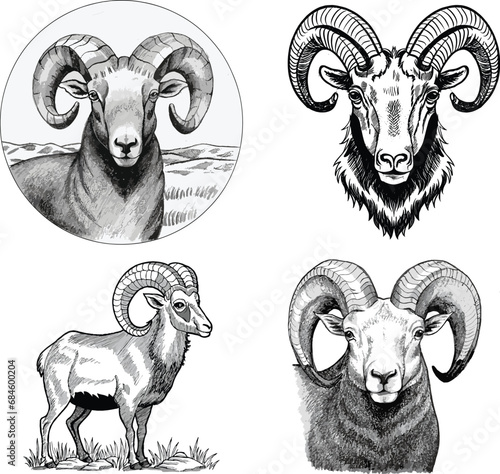 black and white sheep set illustration