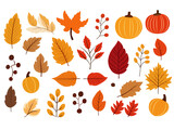 autumn set hand drawn fall leaves pumpkins acorn maple background seasonal holidays thanksgiving banner illustration