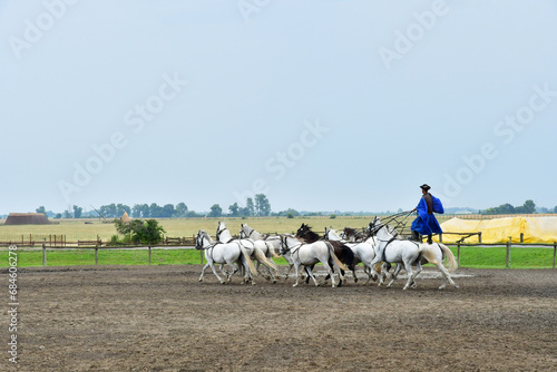 Kalocsa, Hungary - june 26 2023 : horse show