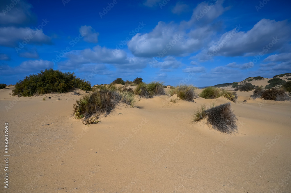piscinas