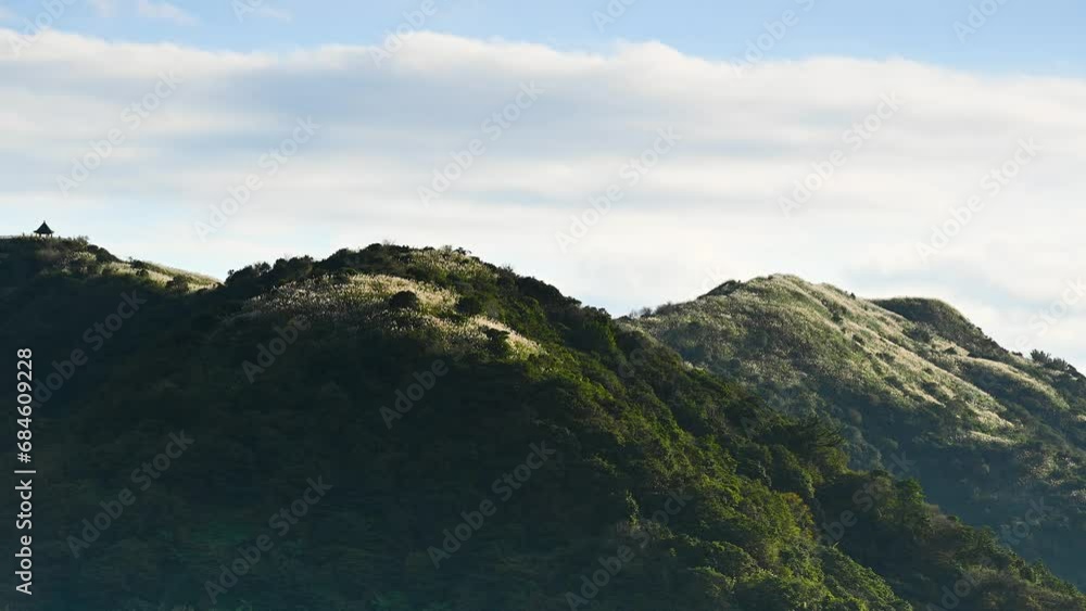 The top of the mountain is covered with white miscanthus flowers. Hiking and climbing in winter to enjoy Taiwan’s natural scenery and fresh air. The top of the mountain is covered with white miscanthus flowers. Hiking and climbing in winter to enjoy Taiwan’s natural scenery and fresh air.