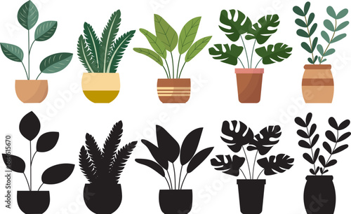 indoor plants set in flat style on white background vector