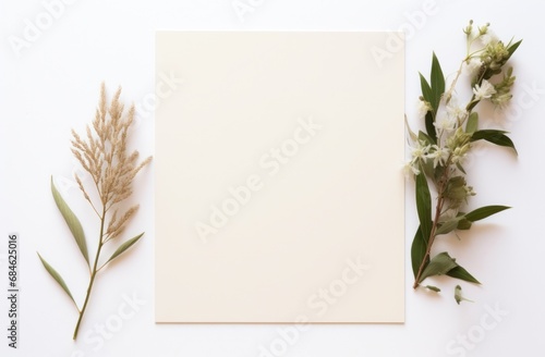 a beige blank card with plants on a white background