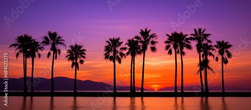 a group of palm trees in silhouette with ocean along the lake © olegganko