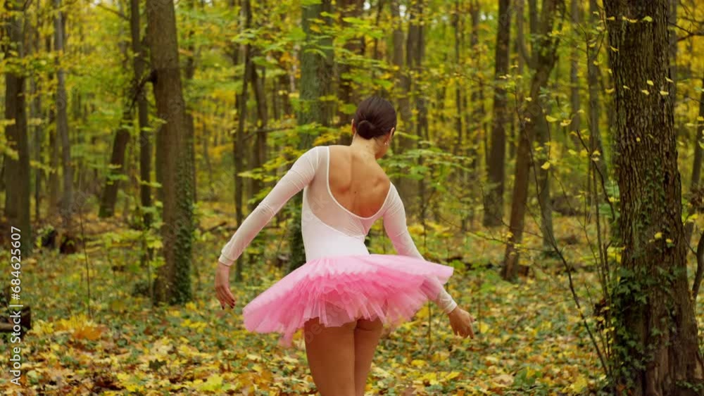 Autumn ballet in a yellow leaved park, which is danced by a ballerina. Fragile gentle movements in nature, active lifestyle and dance. High quality 4k footage Autumn ballet in a yellow leaved park, which is danced by a ballerina. Fragile gentle movements in nature, active lifestyle and dance. High quality 4k footage