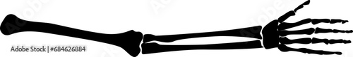 arm bone human silhouette photo
