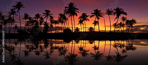 sunset with reflection of palm trees