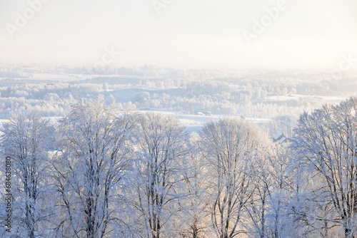 Winter landscape view with hoarfrost in the treetops
