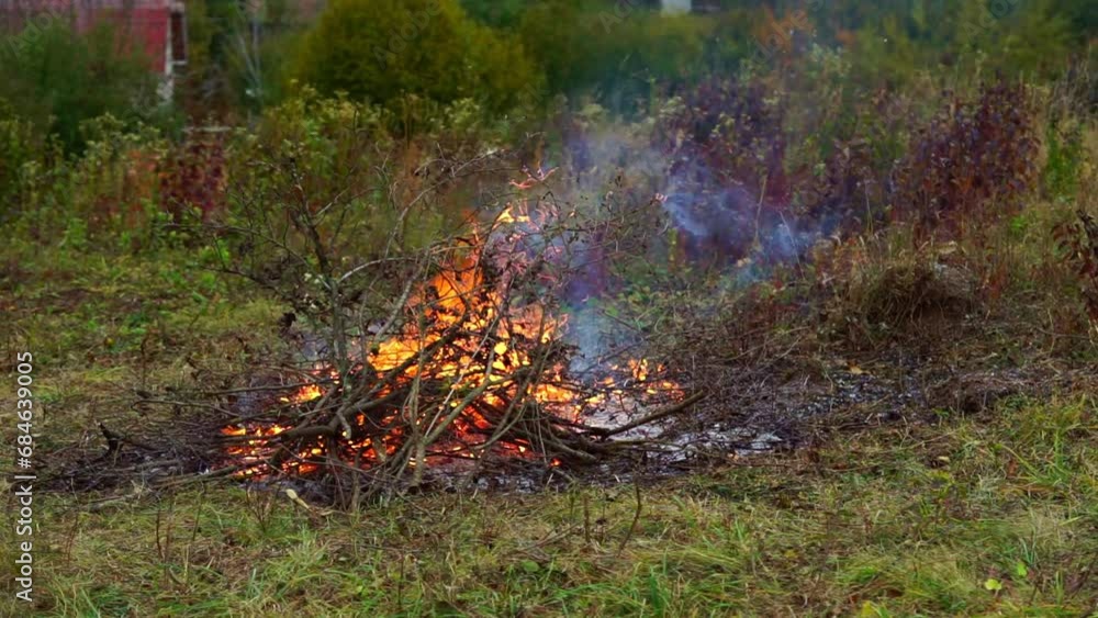 Plot cleaning and burning out dry branches in a bonfire. Slow motion Plot cleaning and burning out dry branches in a bonfire. Slow motion