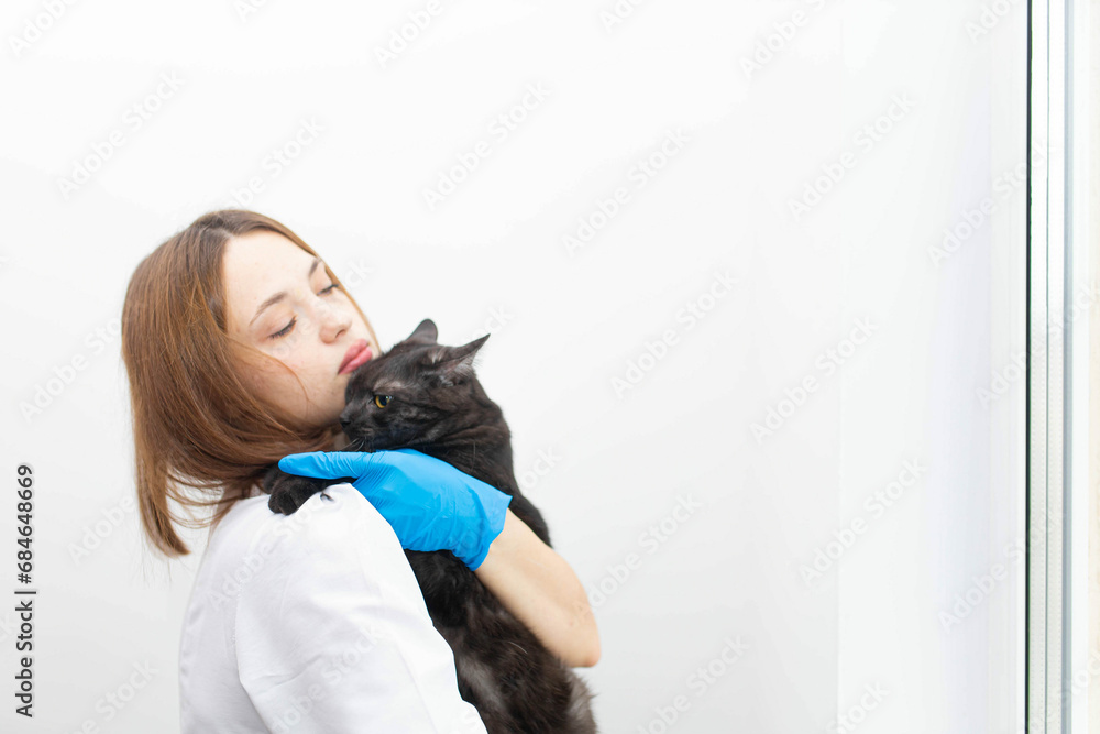 female veterinarian with cat in veterinary clinic