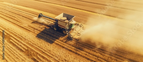 Autumn aerial drone flight over combine harvester reaping corn in field Top down view of harvesters in action Agriculturial farming work copy space image