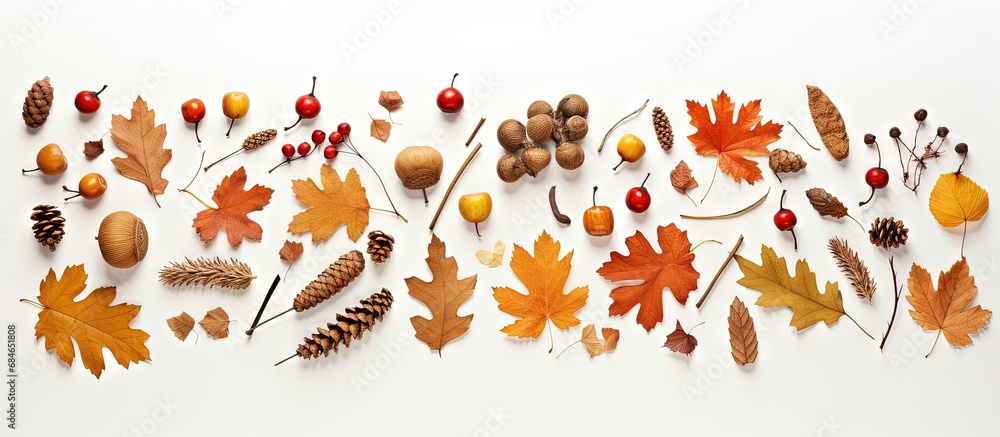Obraz premium Autumn objects arranged on light surface for creative display copy space image