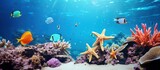 Colorful tropical fish and starfish in a coral garden copy space image