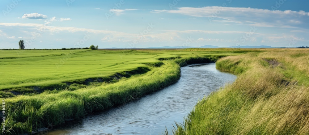 A springtime countryside field has a nearby ditch with water and salt marsh rushes copy space image A springtime countryside field has a nearby ditch with water and salt marsh rushes copy space image
