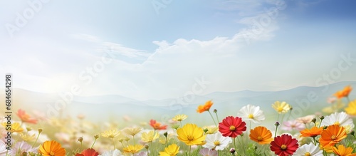Colorful flowers are blooming beautifully in a green open scene with a shining sun copy space image