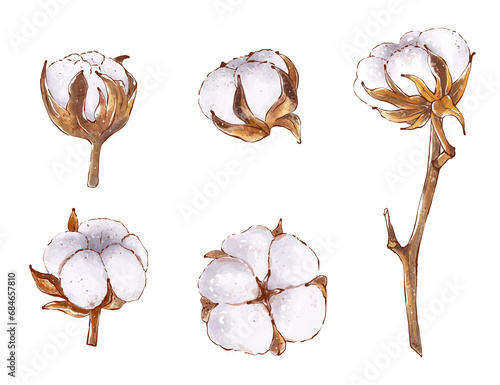 Set of cotton flowers, watercolor clipart. Fluffy cotton heads and branches, hand drawn illustration in sketch style, isolated. Print for design of packaging natural cosmetics and labels photo