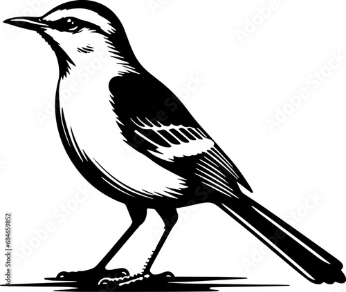 Photography Mockingbird icon 6
