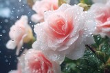 Pink Flowers with Water Droplets