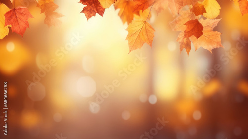 Beautiful autumn background with yellow  orange and red falling leaves  bokeh and sunshine. Banner with free place for text