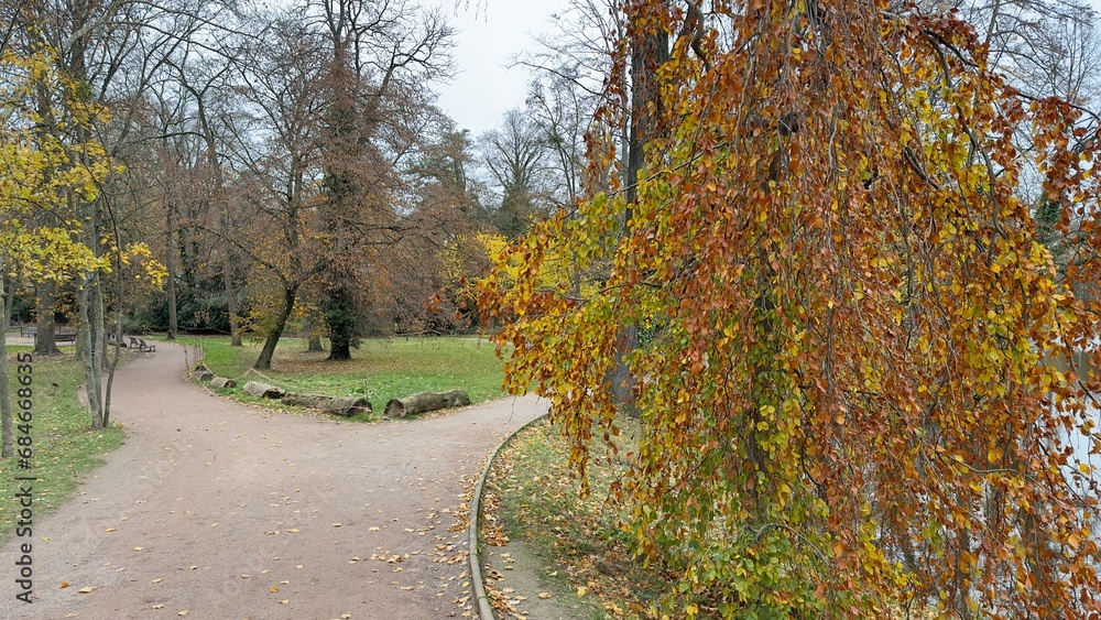 Park in autumn season