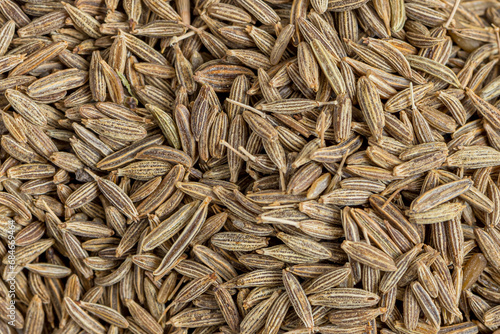 Cumin Jeera spice background. close-up view of zira. Cumin seeds from above. High angle photo of zira jeera cumin spices photo