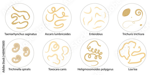 Parasites, worms, helminths in humans, cats, dogs. Hand drawing.