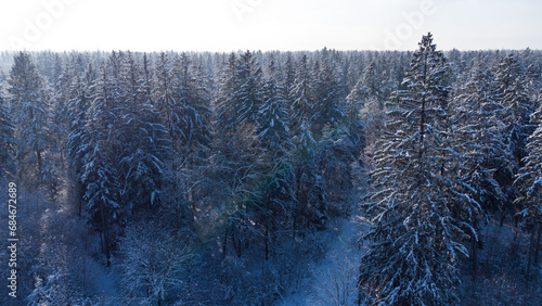 Aerial view over snowy forest near Munich. Pine tree forest in south Germany covered by ice in winter photo