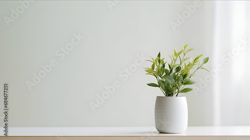 Product Showcase. Interior Design Inspiration Table with Green Plant and white Vase on a Table in house © Prasanth