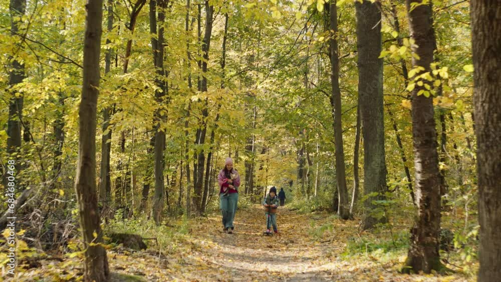 Mother and son take a walk through the autumn forest. A happy family walks together on a yellow sheet, the concept of love and warmth of parents and children. High quality 4k footage Mother and son take a walk through the autumn forest. A happy family walks together on a yellow sheet, the concept of love and warmth of parents and children. High quality 4k footage