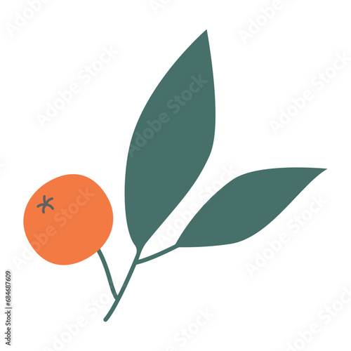 Sea Buckthorn Illustration