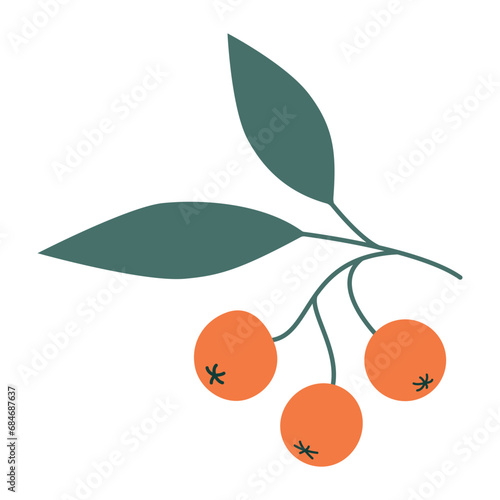 Sea Buckthorn Illustration