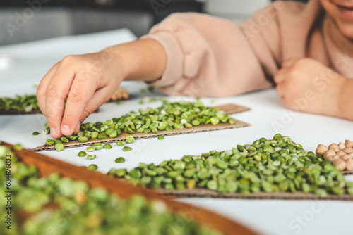 Wallpaper Mural Idea for children's sensory creativity at home Torontodigital.ca