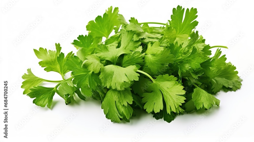 Coriander isolated on white background, Created with Generative Ai technology. Coriander isolated on white background, Created with Generative Ai technology.