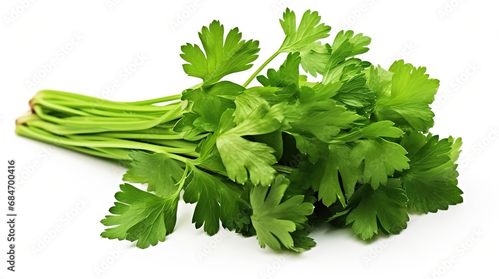 Coriander isolated on white background, Created with Generative Ai technology. Coriander isolated on white background, Created with Generative Ai technology.