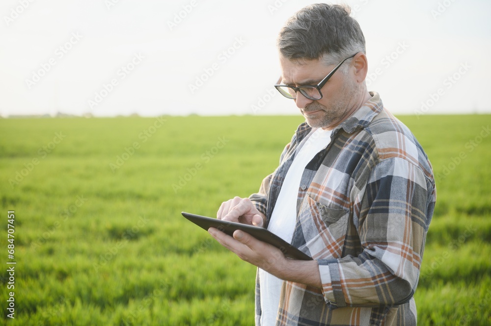 Portrait of senior farmer standing in green wheat field. Portrait of senior farmer standing in green wheat field.
