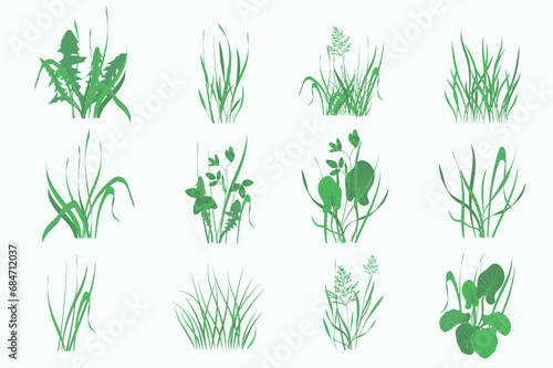 Green plants mega set in flat design. Bundle elements of outdoor greenery and meadow herbs and leaves of dandelions  cereals  chives  clovers  plantains. Vector illustration isolated graphic objects