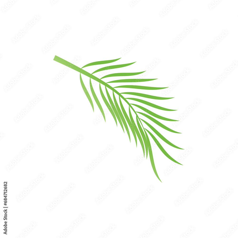 Fototapeta premium Leaf palm logo vector template symbol and design