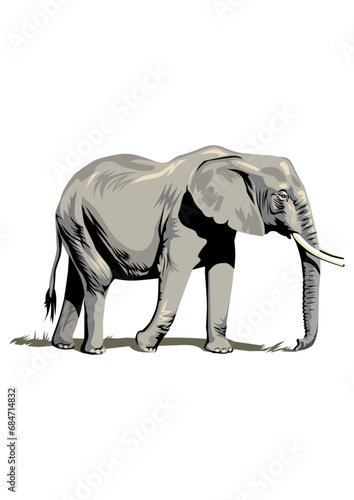 descargar vectores de elefante