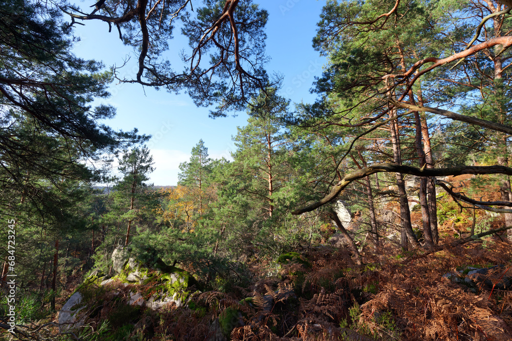 Fototapeta premium Denecourt blue path number 4 in the Saint-Germain rock