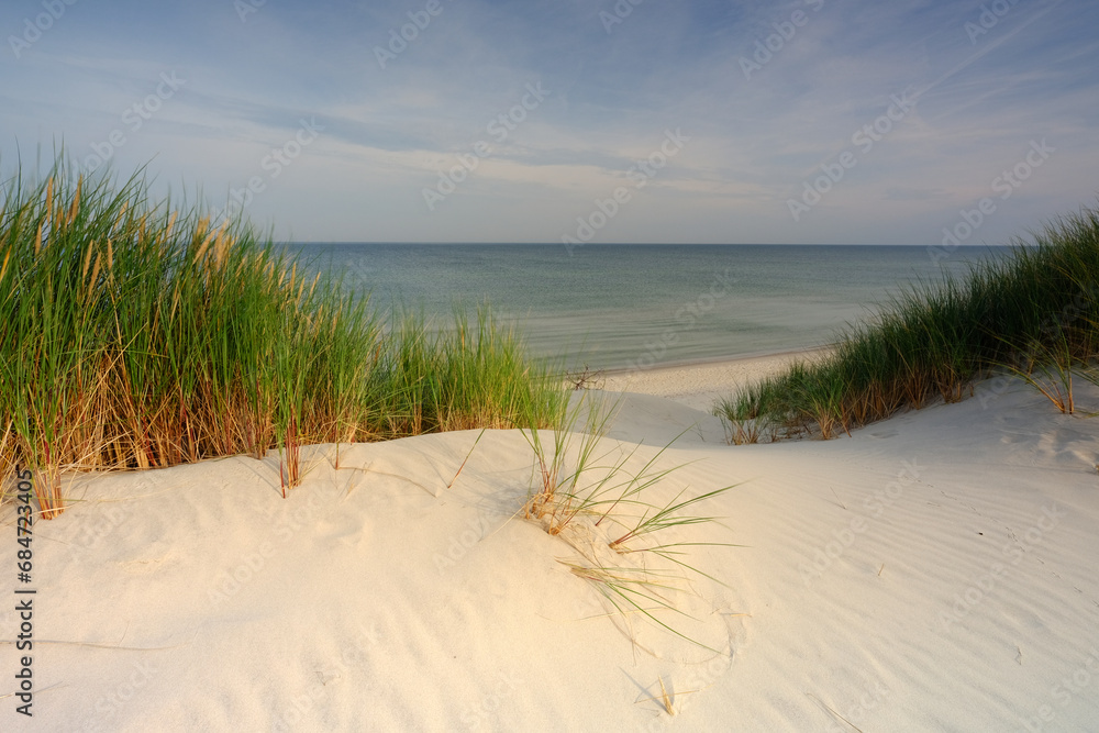Dzika plaża na wybrzeżu Morza Bałtyckiego, Czołpino, Polska
 - obrazy, fototapety, plakaty 