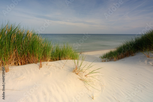 Fototapeta Naklejka Na Ścianę i Meble -  Dzika plaża na wybrzeżu Morza Bałtyckiego, Czołpino, Polska
