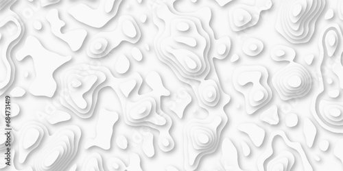 Fototapeta Naklejka Na Ścianę i Meble -  Topographic map in contour line Geography relief. Abstract lines background paper texture Imitation of a geographical map shades beautiful white color palette colors, waves and layers