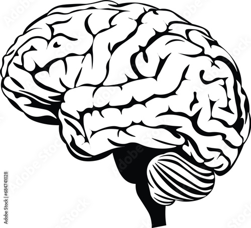 Cartoon Black and White Isolated Illustration Vector Of A Human Brain