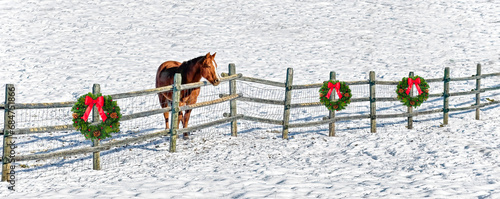 A horse standing at a fence in a snow-covered pasture. Wreathes on the fence. photo