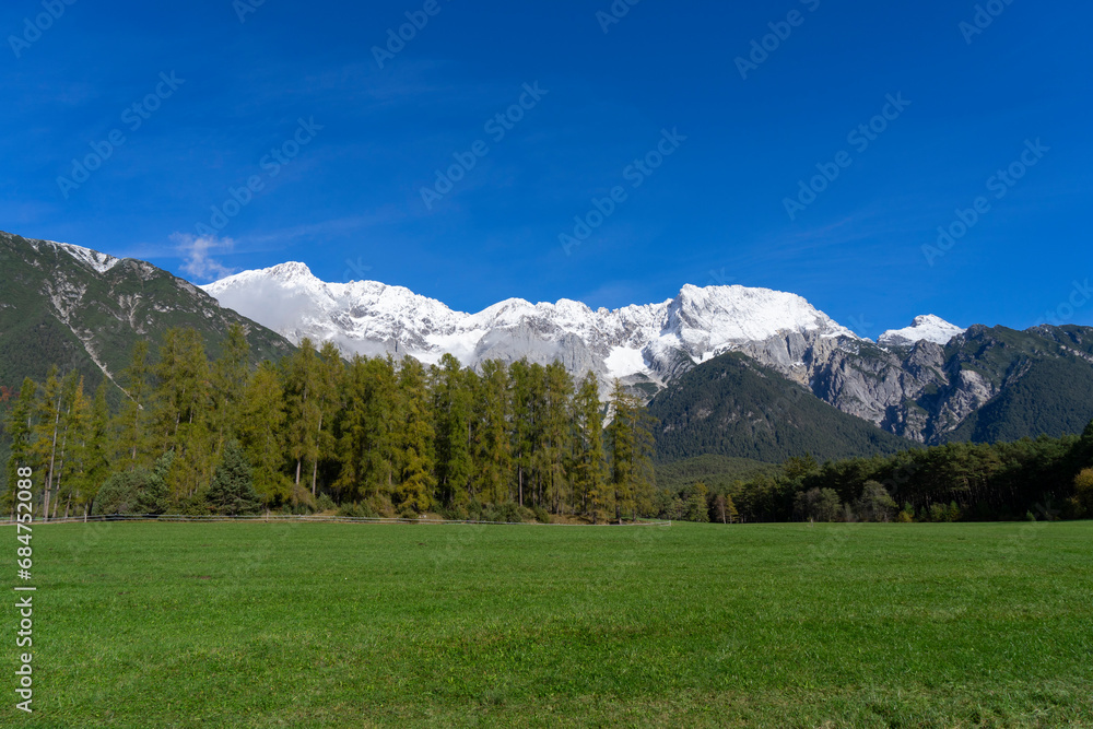 Alpine landscape with green meadows and snowcovered mountains in the background