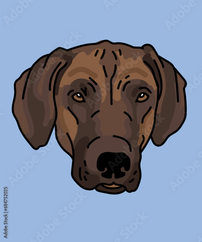 Rhodesian Ridgeback Dog Head Front View
